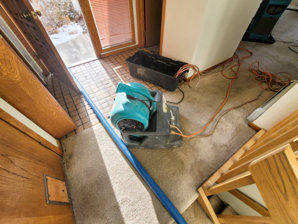 Best Mold removal after water damage  in Aurora, IL