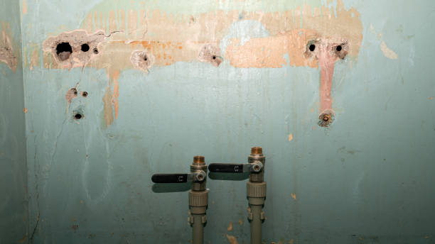 Best Basement water damage restoration  in Aurora, IL